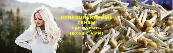 стаф Баксан