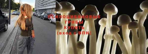 гашик Балабаново