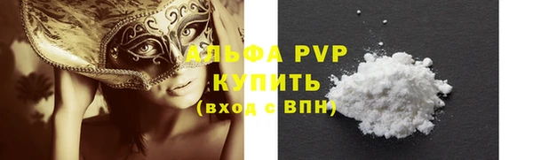 индика Балахна