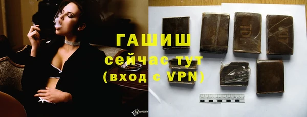 индика Балахна