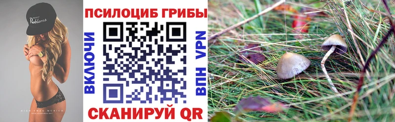 Псилоцибиновые грибы мицелий  Макарьев 